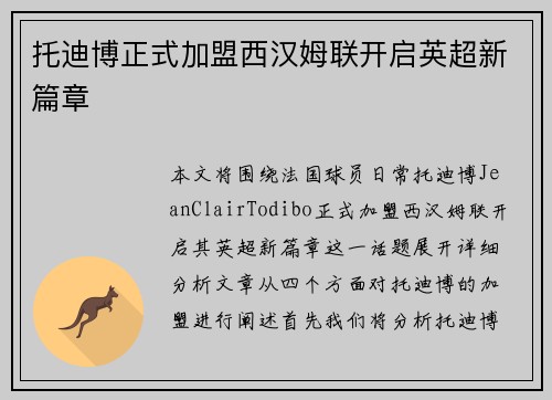 托迪博正式加盟西汉姆联开启英超新篇章